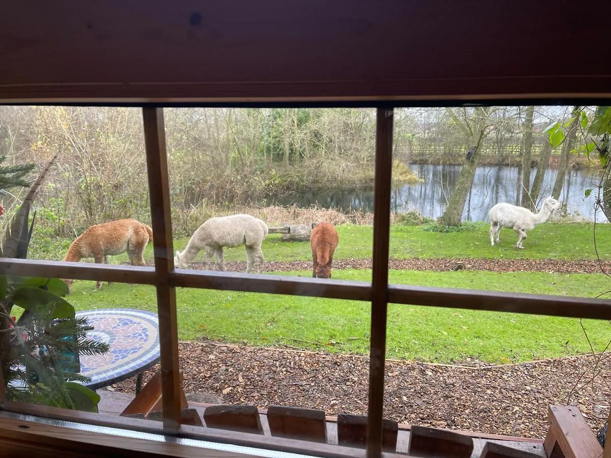 Acorn Glade Glamping York Villa 0*,