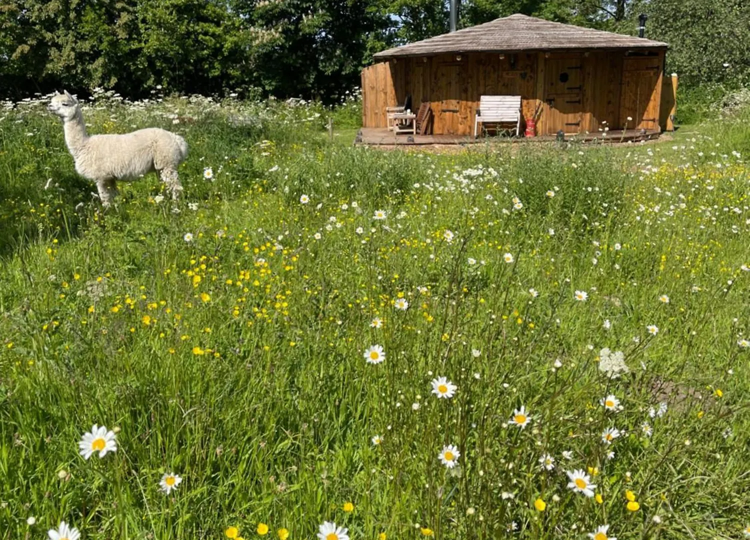Acorn Glade Glamping York Villa 0*,
