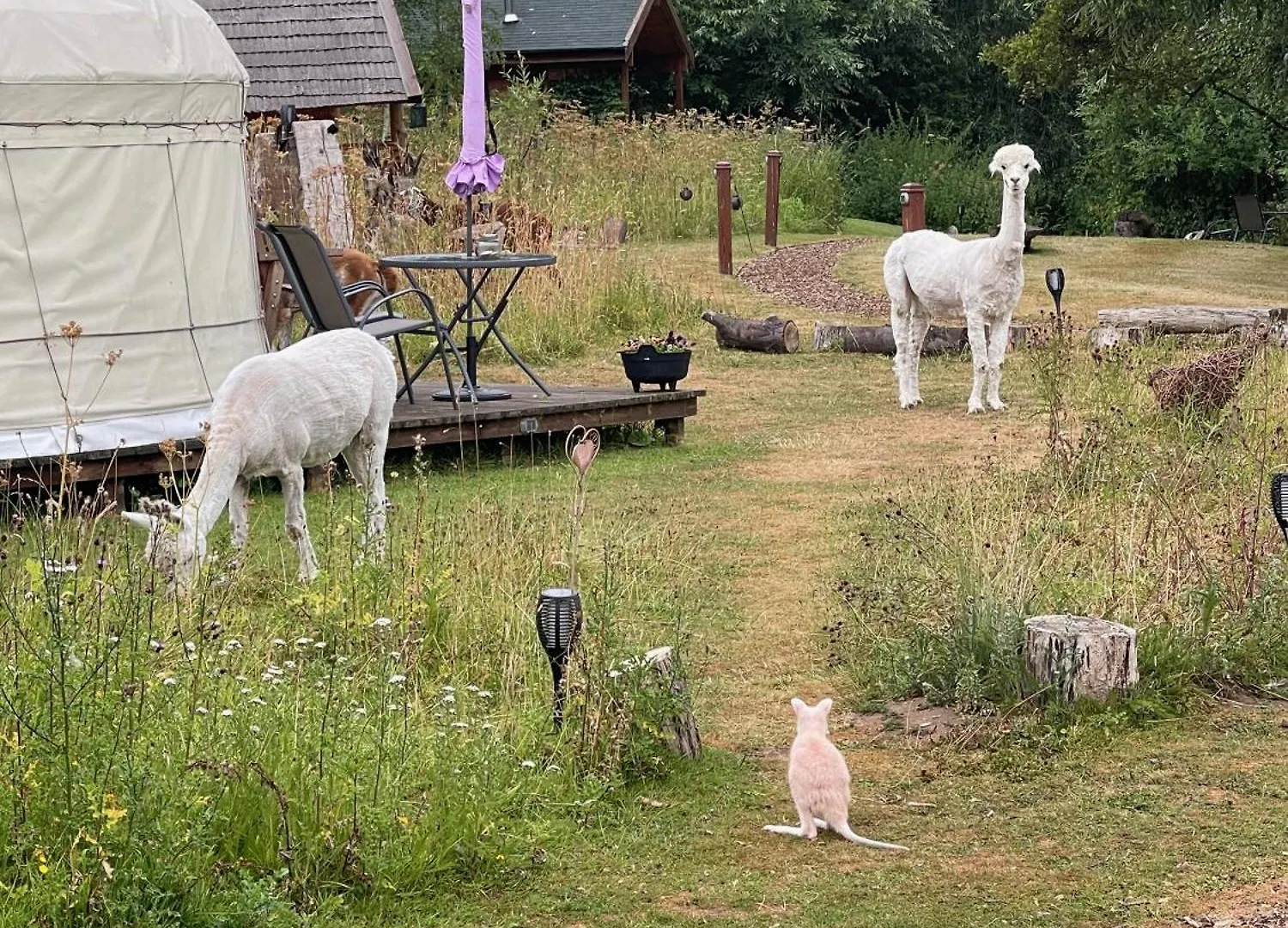 Acorn Glade Glamping York Villa 0*,  Storbritannien