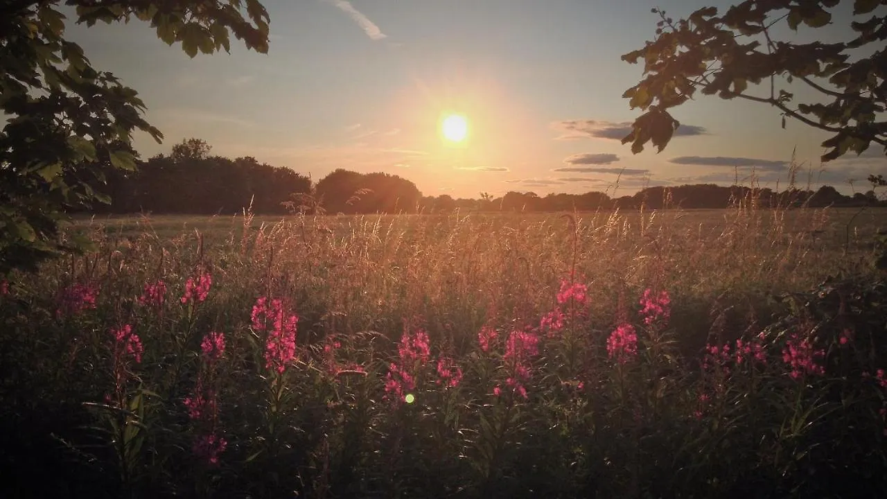 Acorn Glade Glamping Villa York 0*,