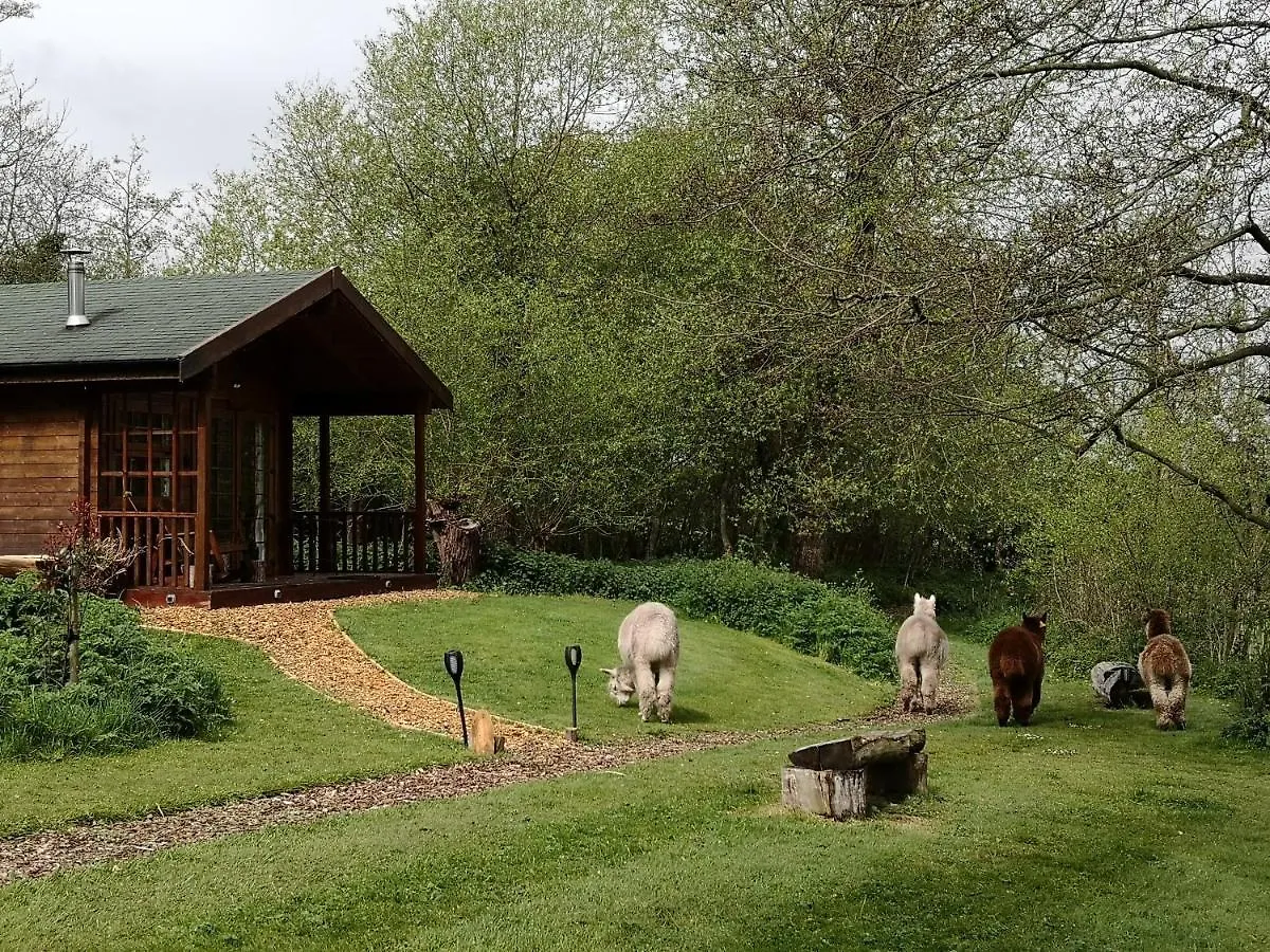 Hytte Acorn Glade Glamping Villa York