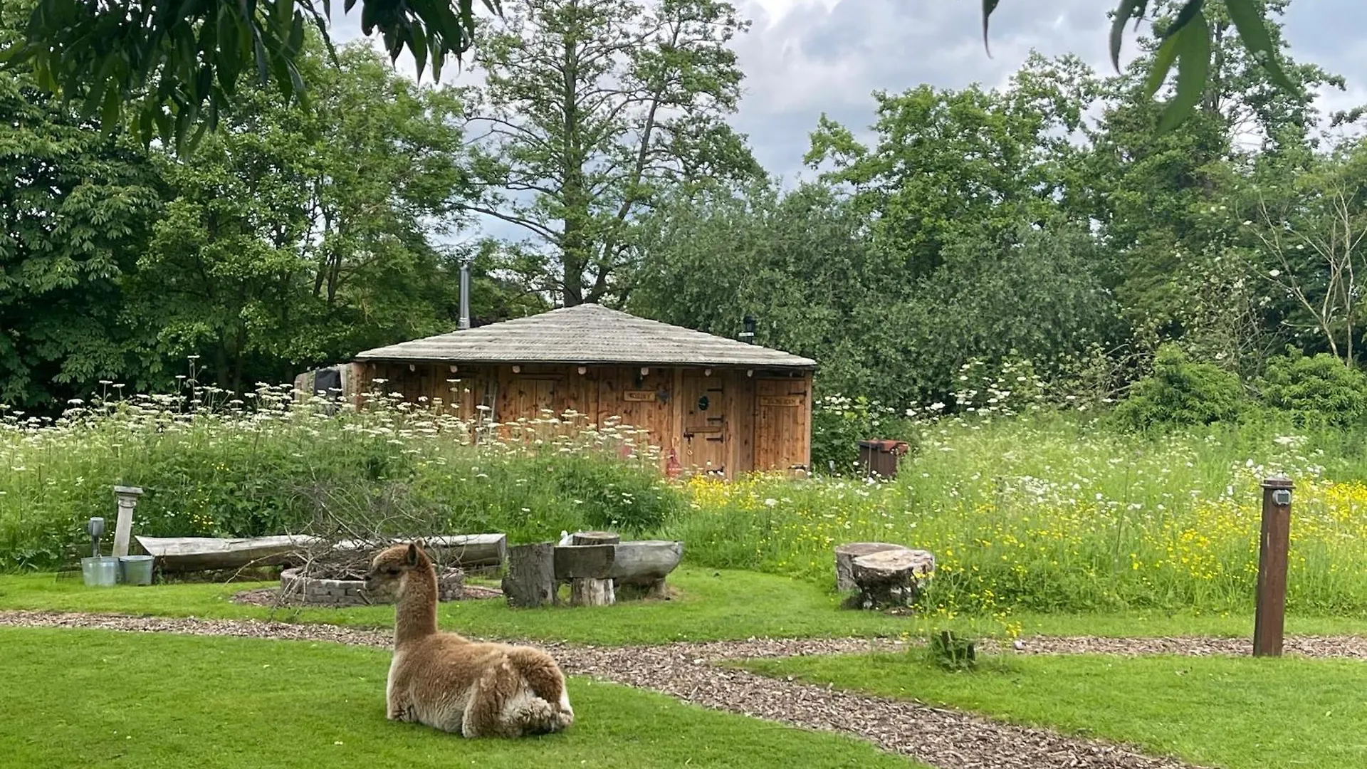 Acorn Glade Glamping Villa York