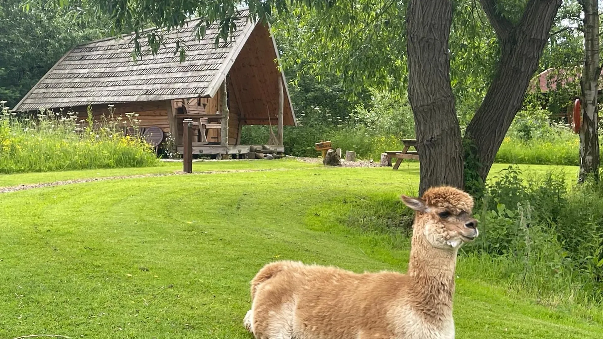 Hytte Acorn Glade Glamping Villa York