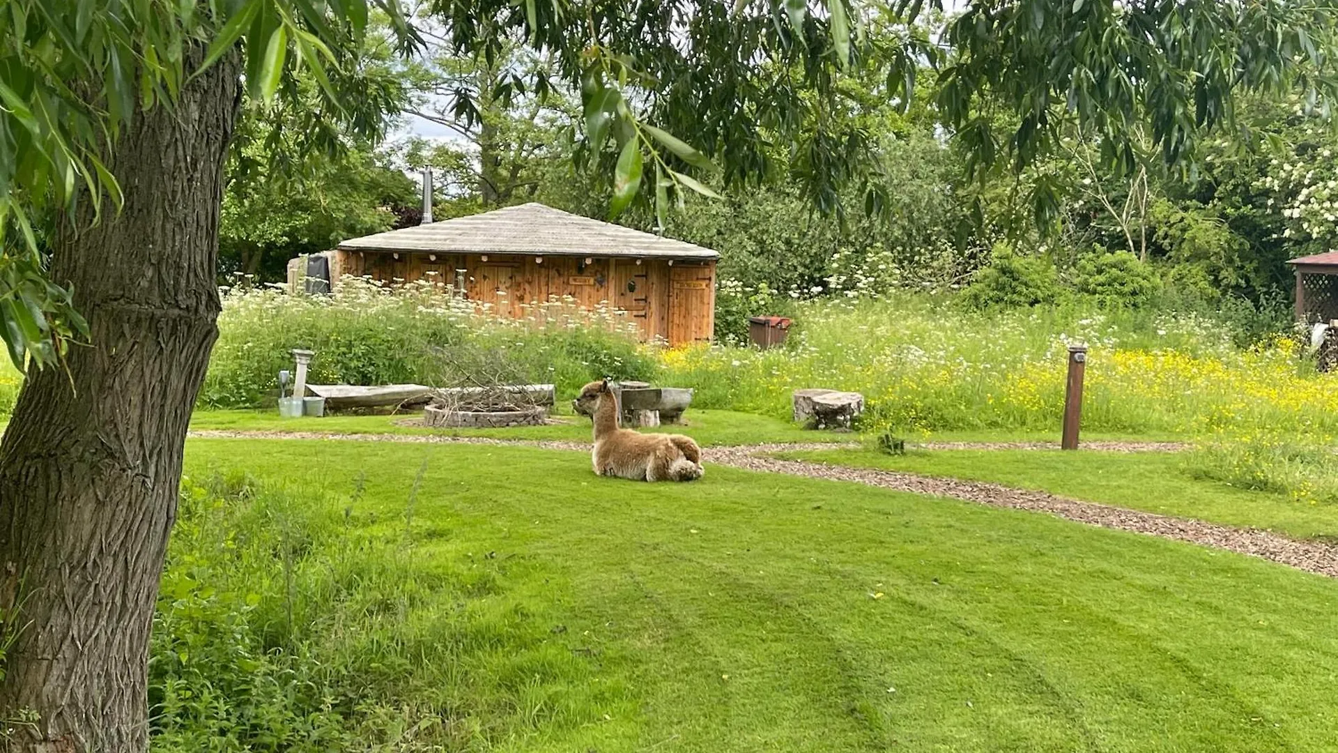 Lodge Acorn Glade Glamping York Villa Verenigd Koninkrijk