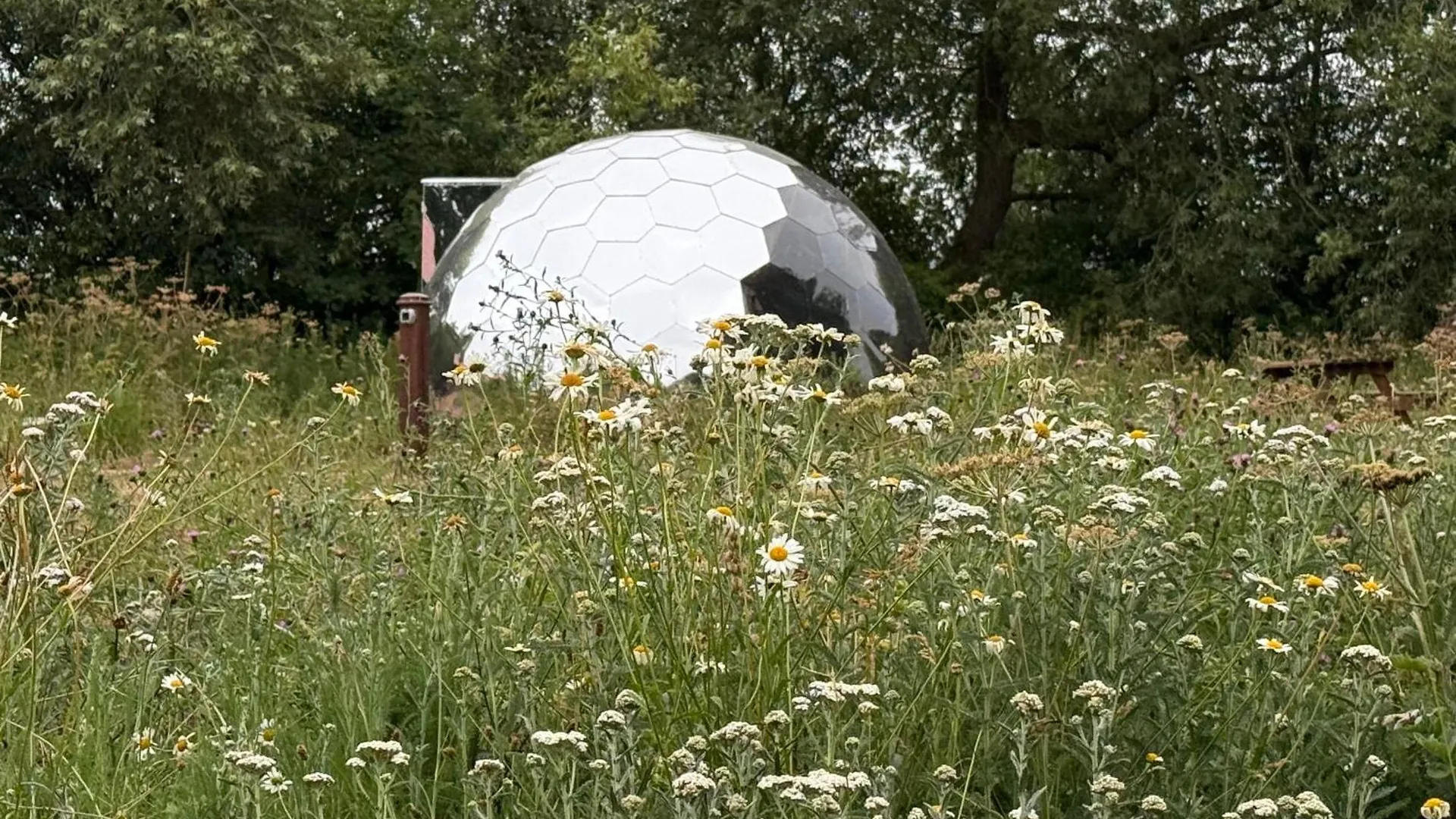 Acorn Glade Glamping York Villa Verenigd Koninkrijk